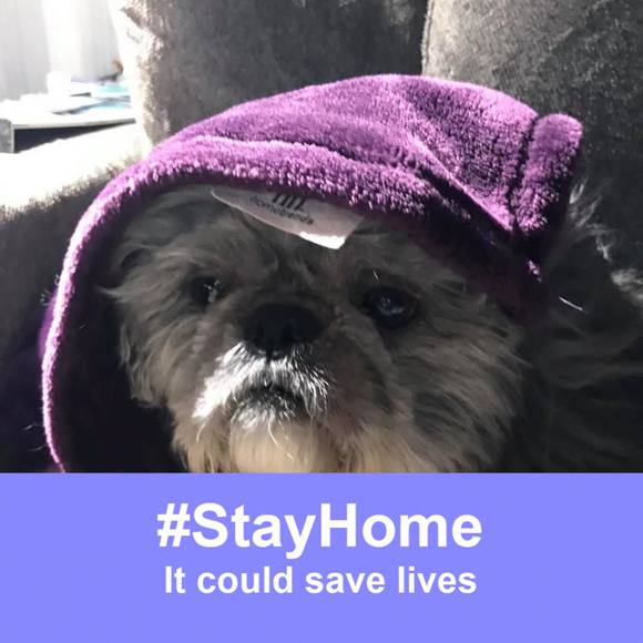 Meet your Posher, Linda - Picture 1 of 1